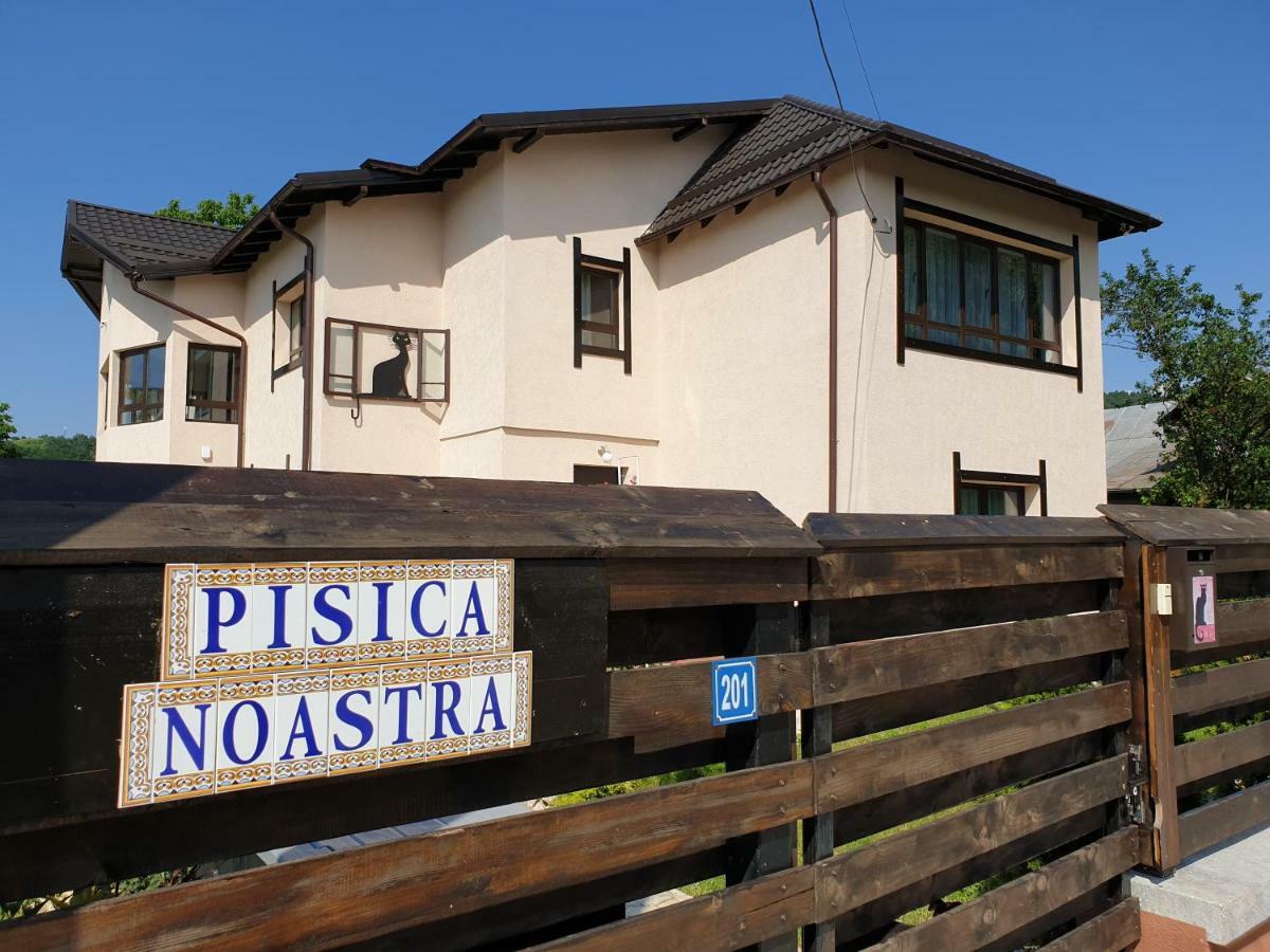 Hotel Casa Pisica Noastra Breaza  Exterior foto